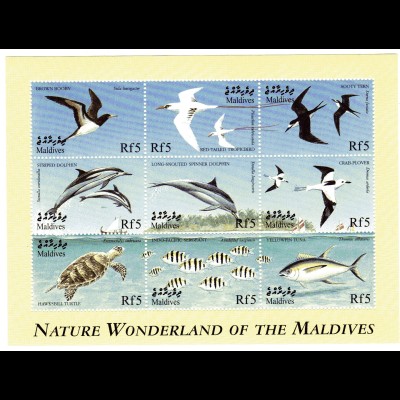 Malediven Kleinbogen Tiere (im Wasser und in der Luft)