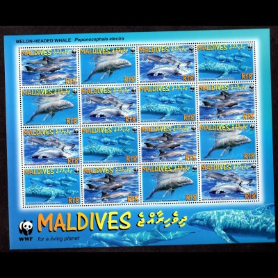WWF Malediven Kleinbogen Wale
