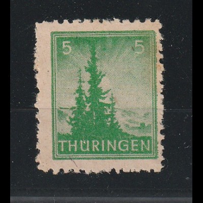 Thüringen: Mi.-Nr. 94 in der seltenen Variante AY b z1. ** mit FA. Ströh.