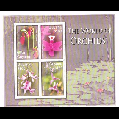 Orchideen Block Guyana (The world of Orchids)