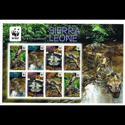 WWF Schlangen Kleinbogen Sierra Leone