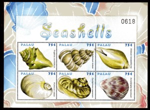 Palau Kleinbogen Seashells