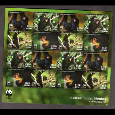 WWF Guyana Kleinbogen Affen