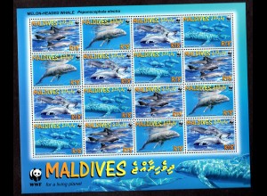 WWF Malediven Kleinbogen Wale
