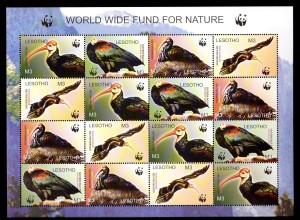 WWF Lesotho Kleinbogen Vögel