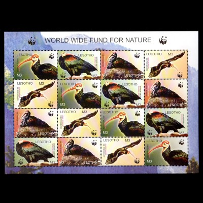 WWF Lesotho Kleinbogen Vögel