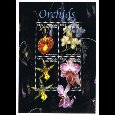 Antigua/Barbuda Orchideen
