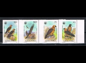 Lesotho: WWF Raubvögel