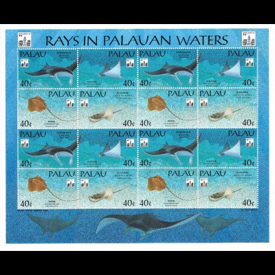 Palau: Rochen; Kleinbogen