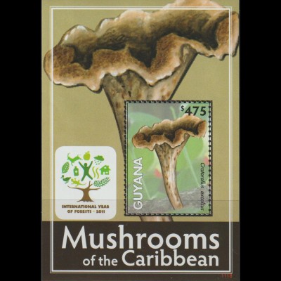 Pilze; Guyana Block (Jahr der Wälder) 2011, **