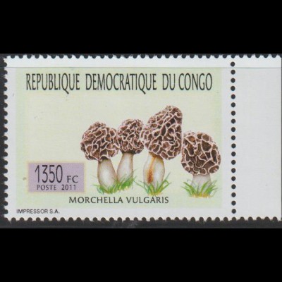 Pilze; Kongo Satz 3 Werte 2011, **