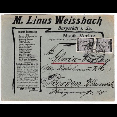 Westsachsen Dekorativer Werbebrief mit Nr. 117Y im Paar, KBf. Schulz BPP